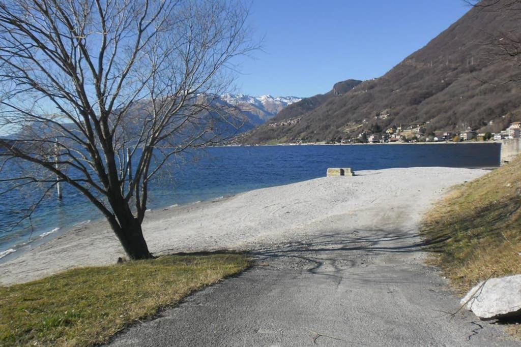 Favoloso Appartamento Fronte Lago, Джера-Ларио Экстерьер фото